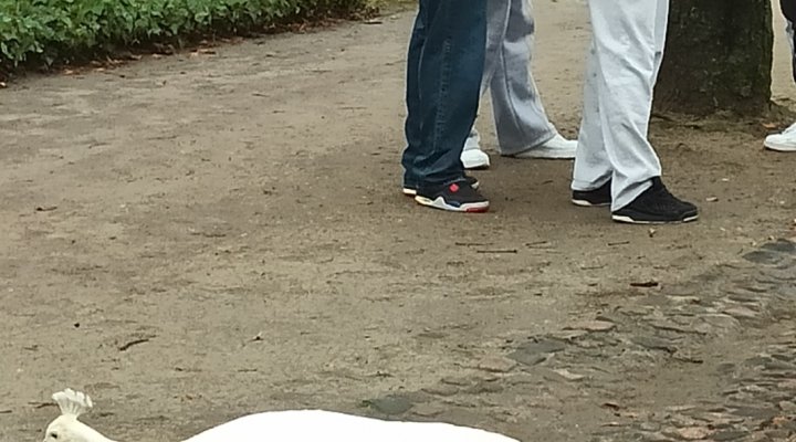 Klasa 4 Ls B w Warszawie